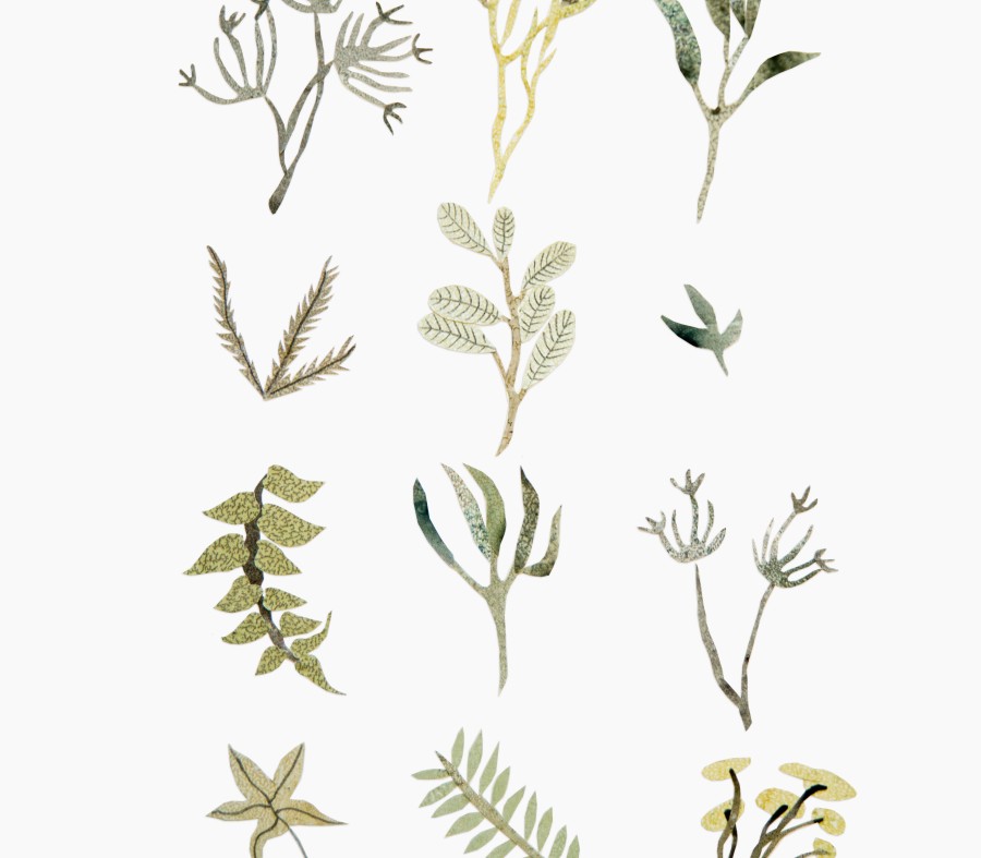 Autumn herbs