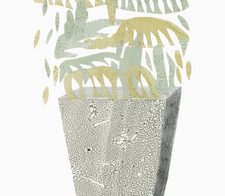 House plant II