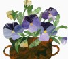 Violas II