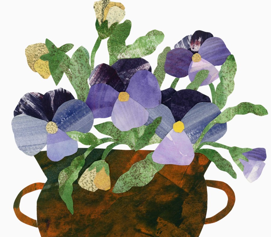 Violas II